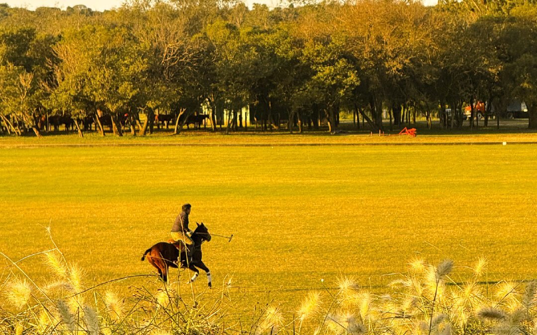 La Higuerita: Donde el diseño tiene el pulso del galope